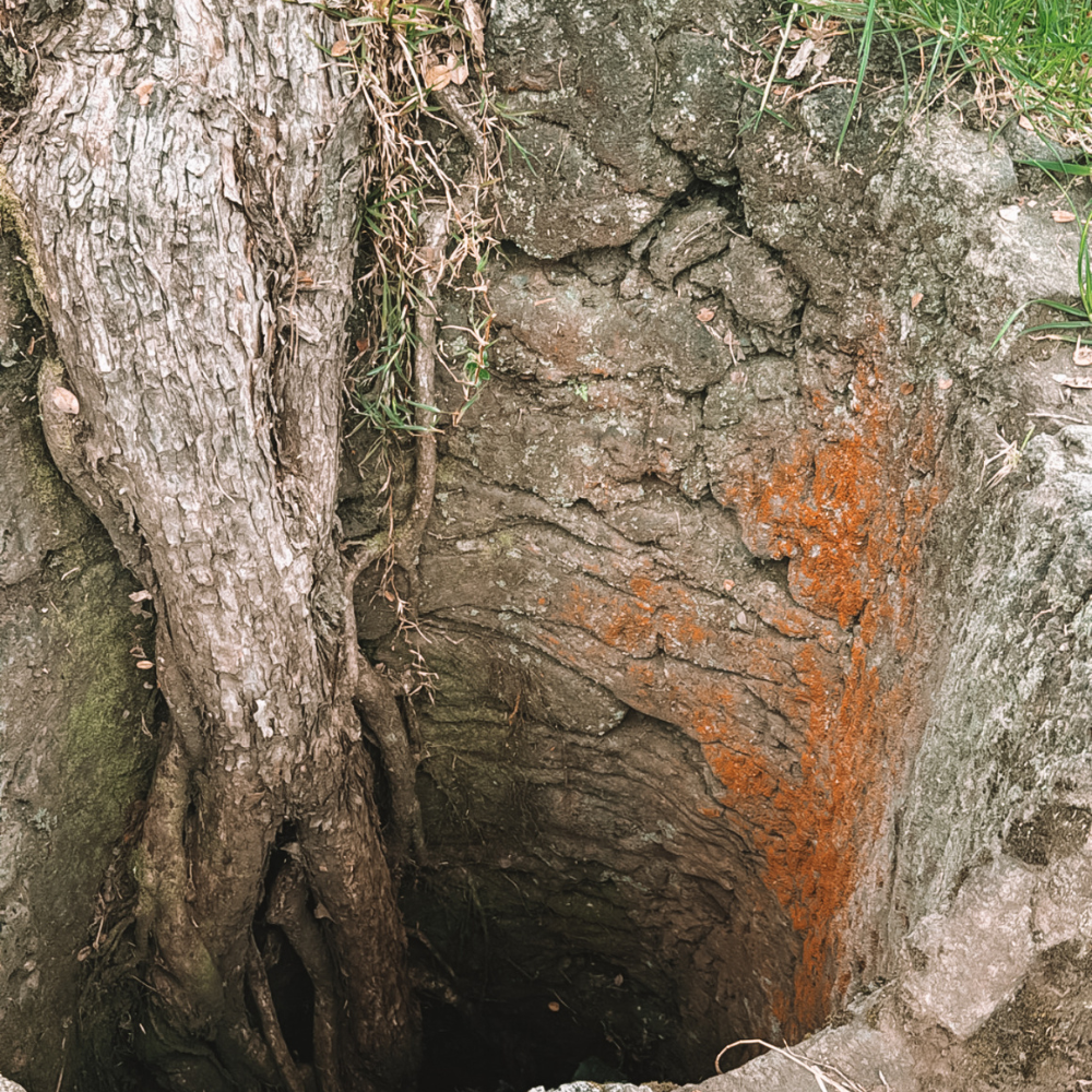 Lava Tree Molds