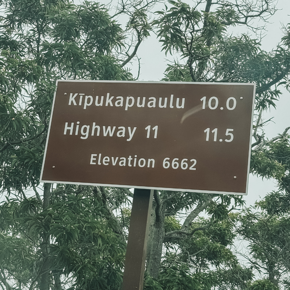 Mauna Loa Lookout Elevation
