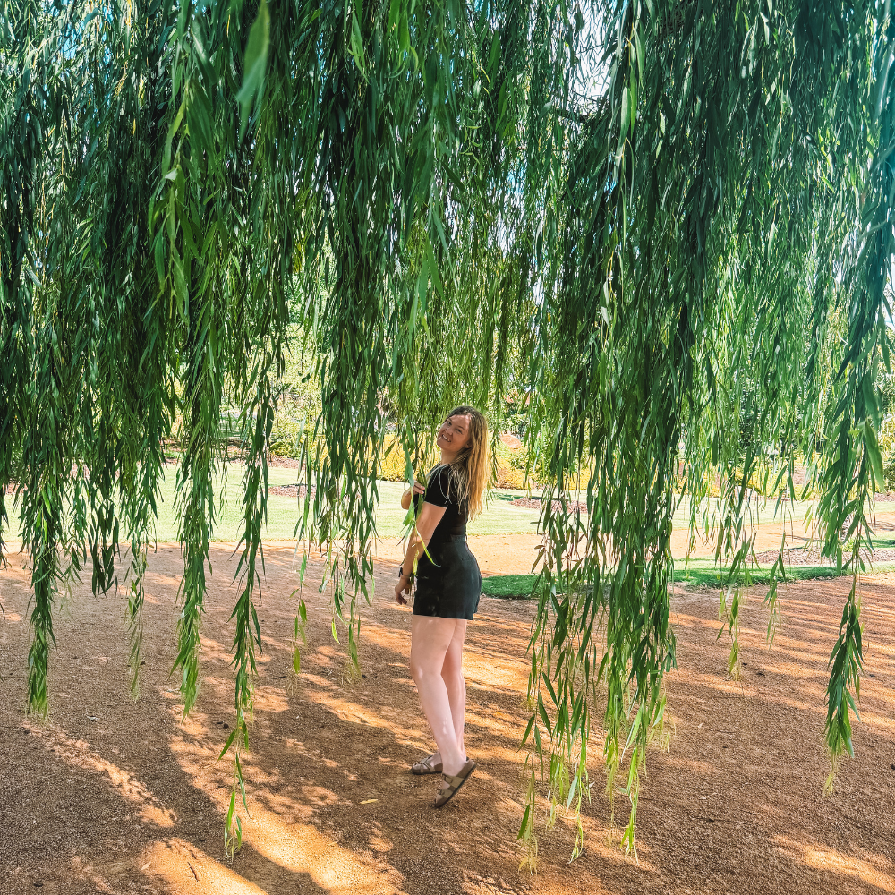 Shoyoen Japanese Garden 1