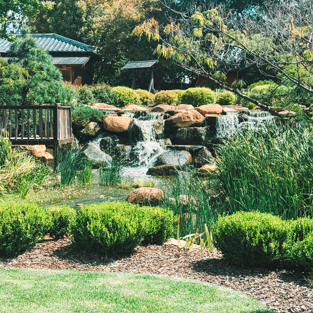 Shoyoen Japanese Garden 2