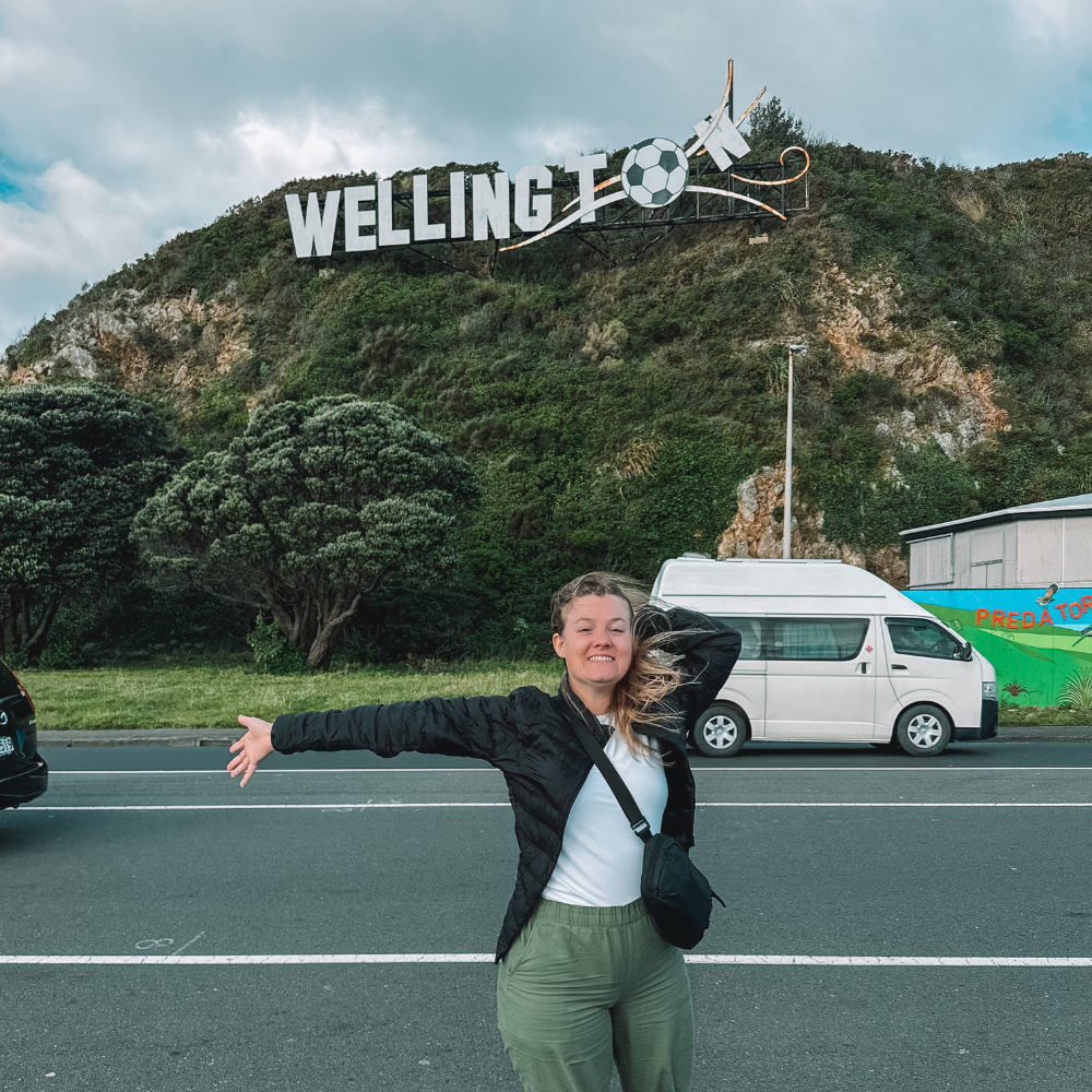 3 Hour City Tour - Wellington Sign