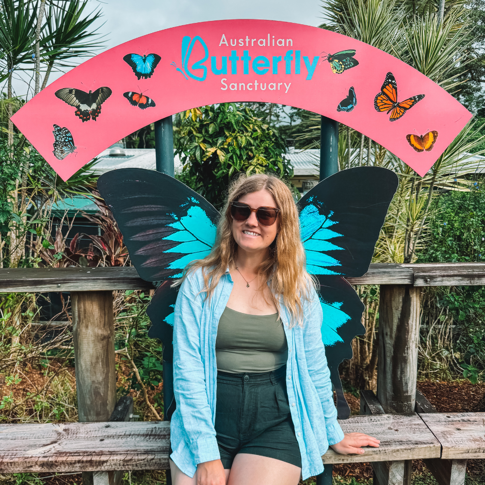 Australian Butterfly Sanctuary - Wings