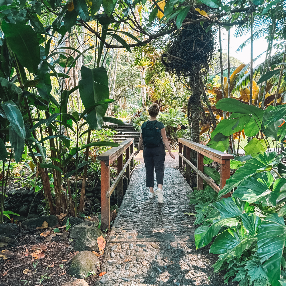 Cairns Botanical Gardens - Walking on Bridge