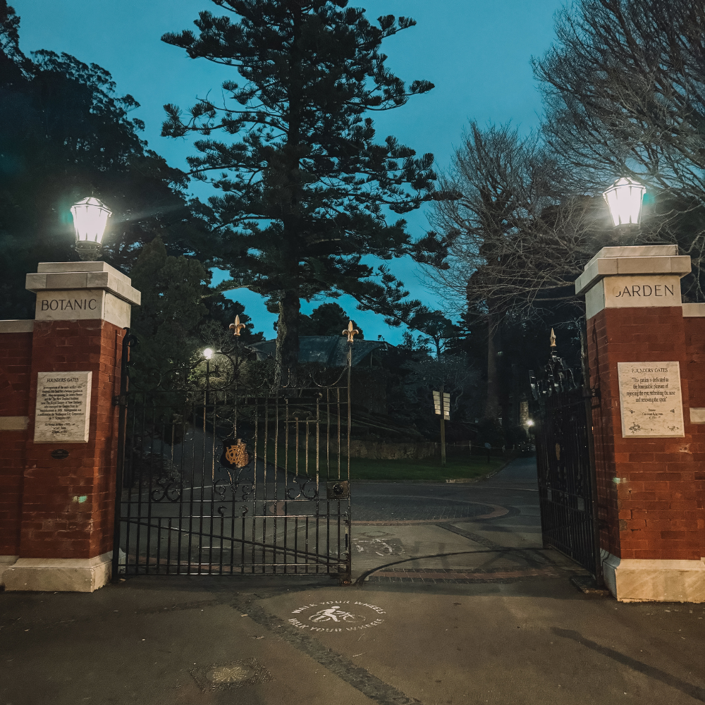 Evening Stroll in the Botanical Gardens - Entrance