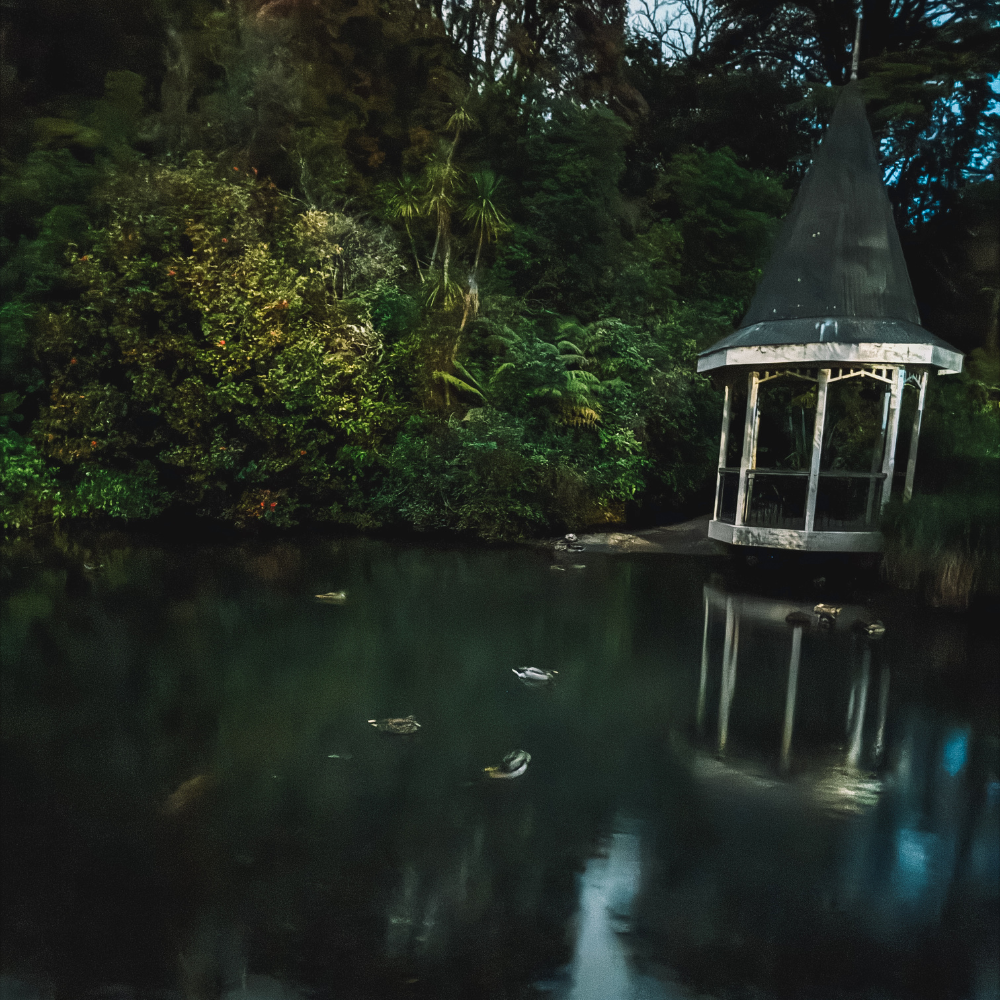 Evening Stroll in the Botanical Gardens - Pond
