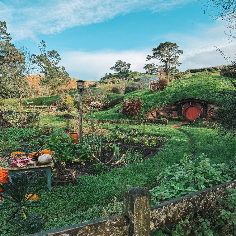 Tour Options - Hobbiton