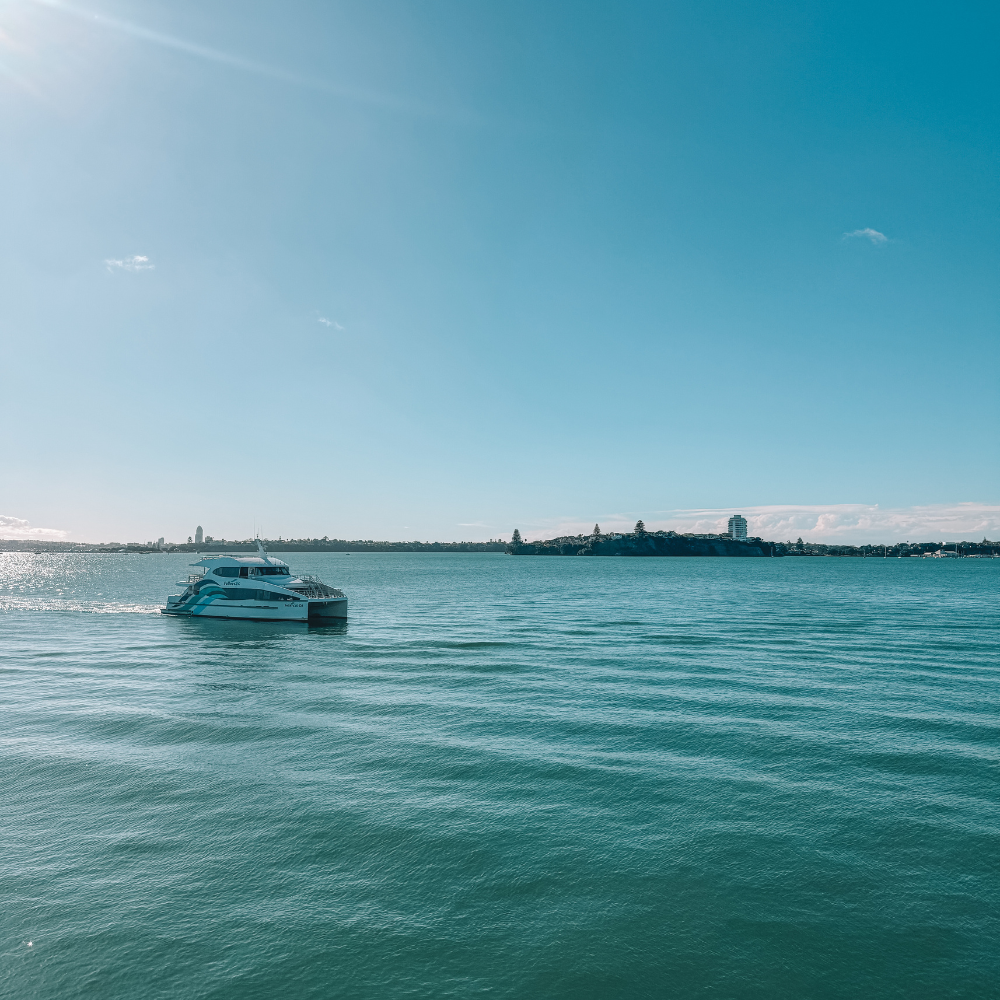 Walk Along the Harbour and Marinas - Harbour
