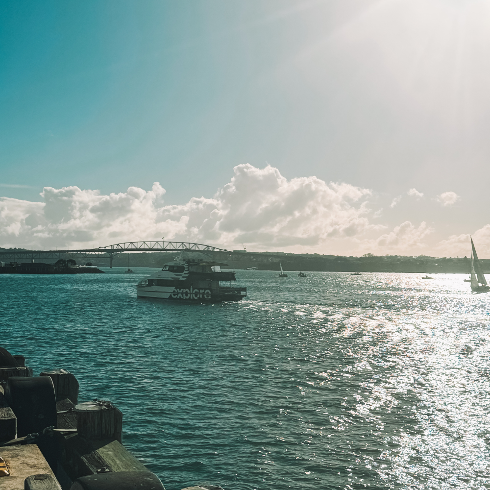 Walk the Pier - Bridge View