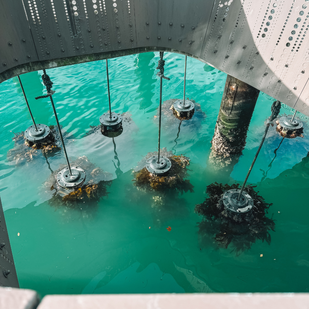 Walk the Pier - Objects in Water